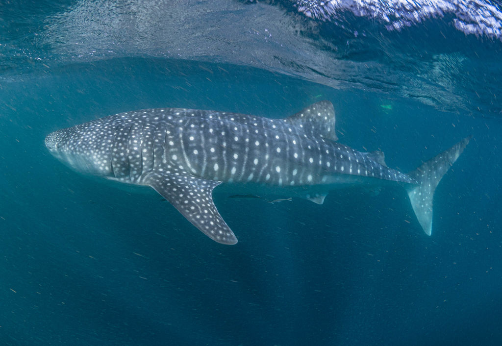 39d3ddf2-8bcc-4c53-887c-8fc1cf802e6b