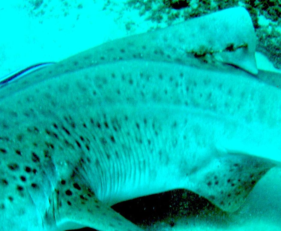 8b3db0aa-32e3-4308-889d-ee8ff9bbf7df