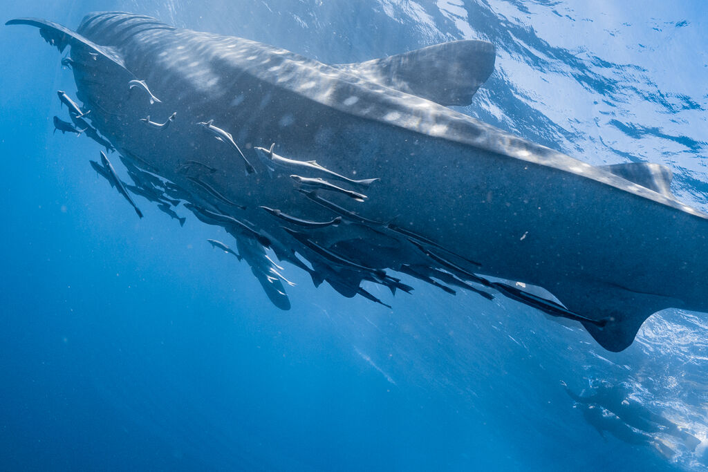 01bbc2ad-0df2-4e0c-bef5-8cd9f14cc6f6