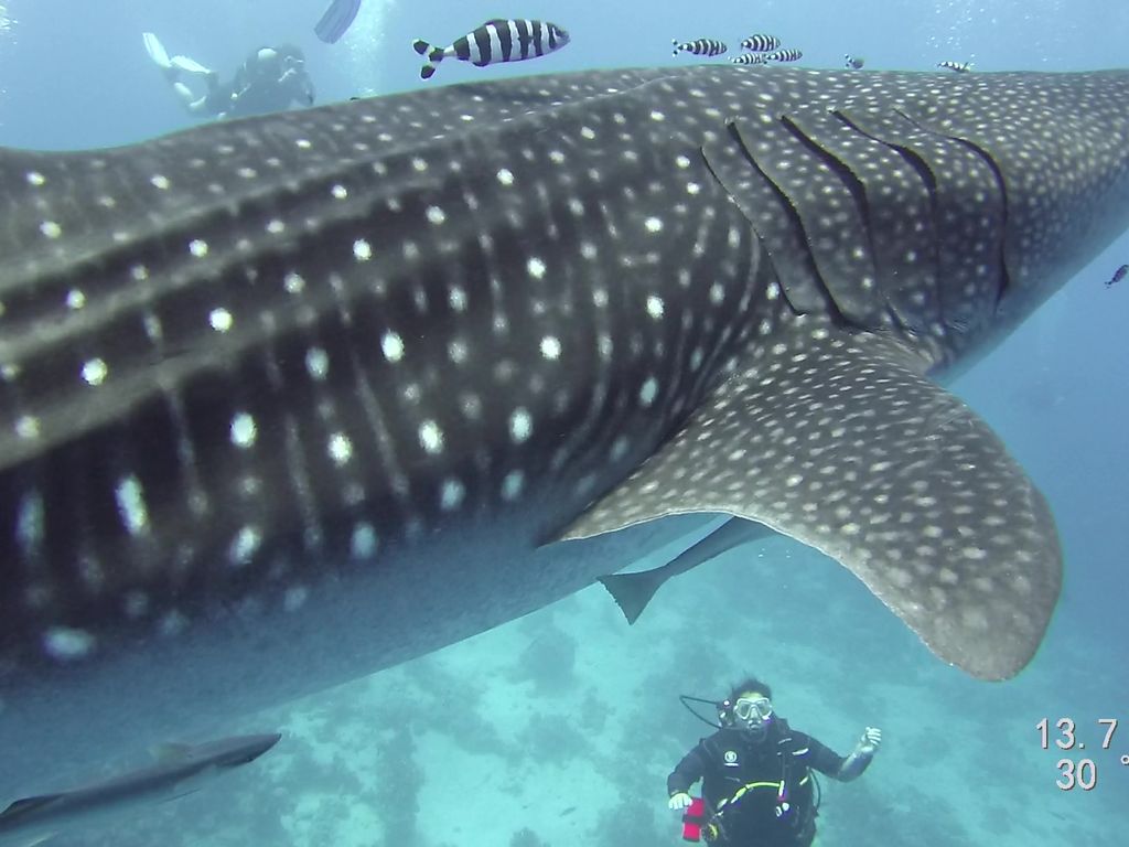 3c06715c-7ea8-4eef-a765-5325502bb767