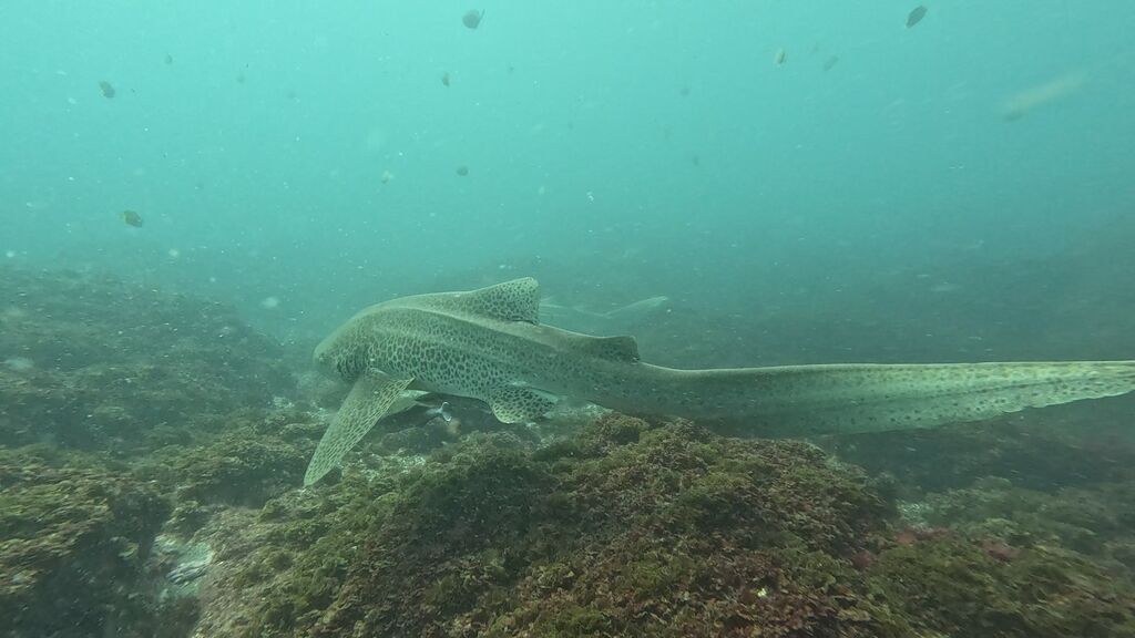 9d9a4794-451c-46ae-b77b-6b02fca96889