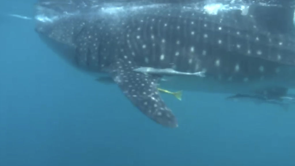 2d6328b9-910e-4ad6-95dd-abca42cb6bda