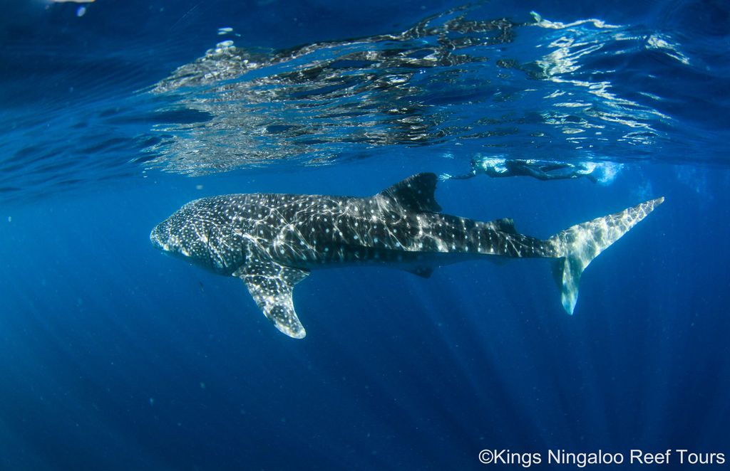 d554f77a-0f52-4a52-94c4-2624ec4436f3