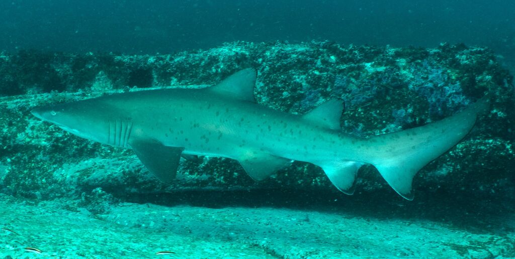 cc8b6016-dbcd-4d7f-8ddc-cfee72bd5220