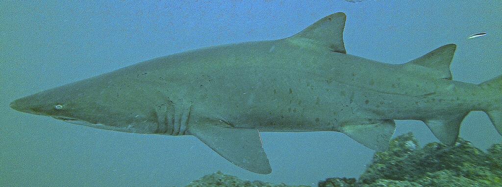 ad9992de-ba73-4394-ac43-e41a63c3a7c2