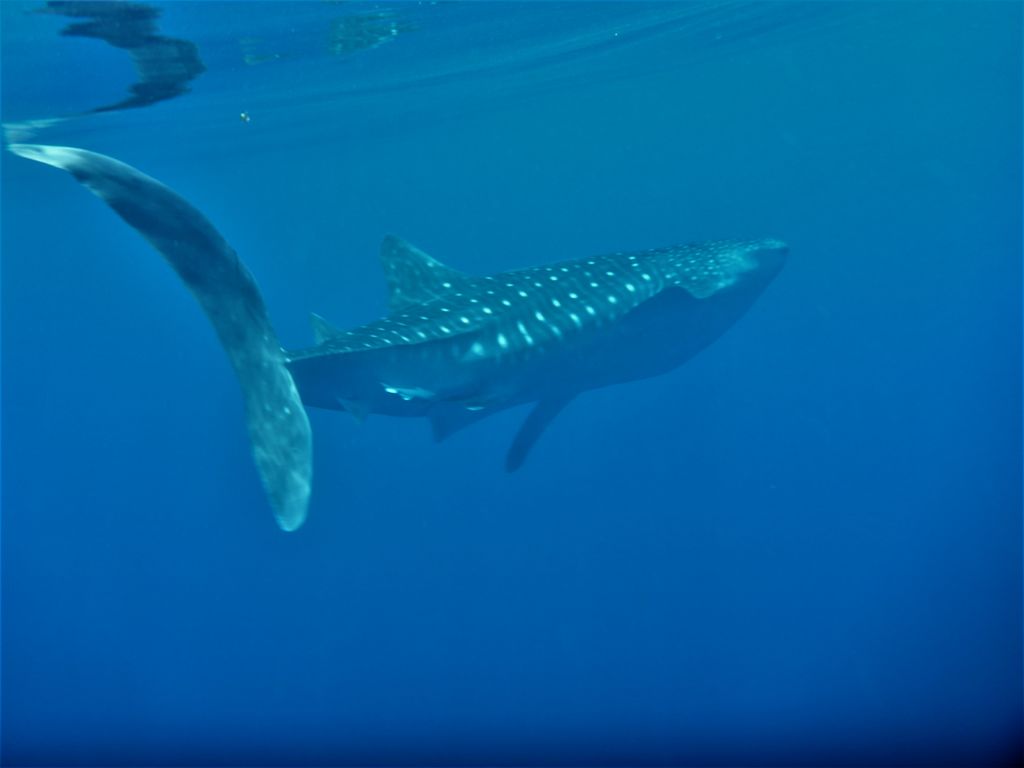 ee9dd34d-1b91-4460-b476-36c1fd1ae14e