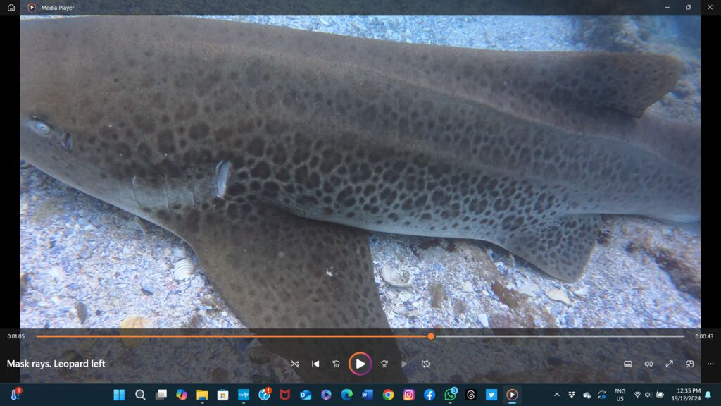 183bf286-fbc0-407b-bfce-f009884efc3d