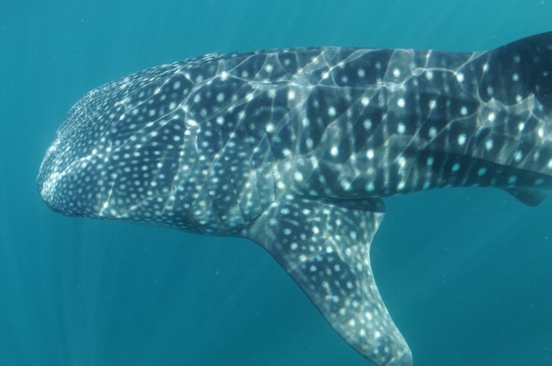 86d61707-53e0-4090-ab92-1e9d20263597