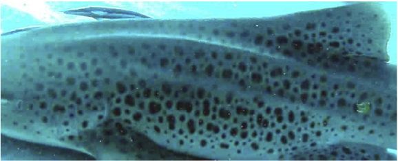 71d49ab9-c9e5-4a59-ab7a-79360b4d2a40