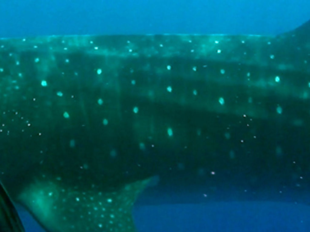 fba50e5f-2445-4186-aedc-984ed798ad89