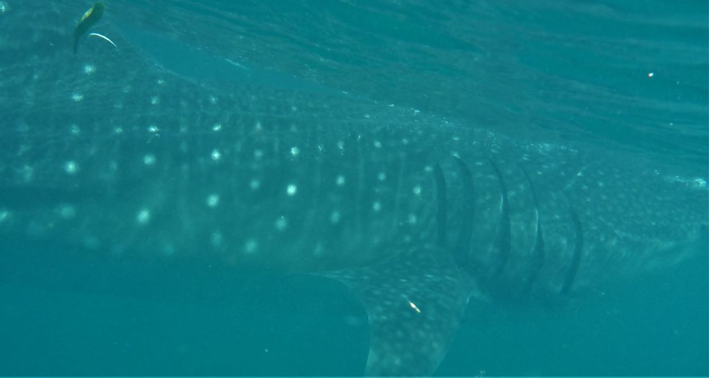 465d53b2-639b-4ffc-81db-580d6e8caee0