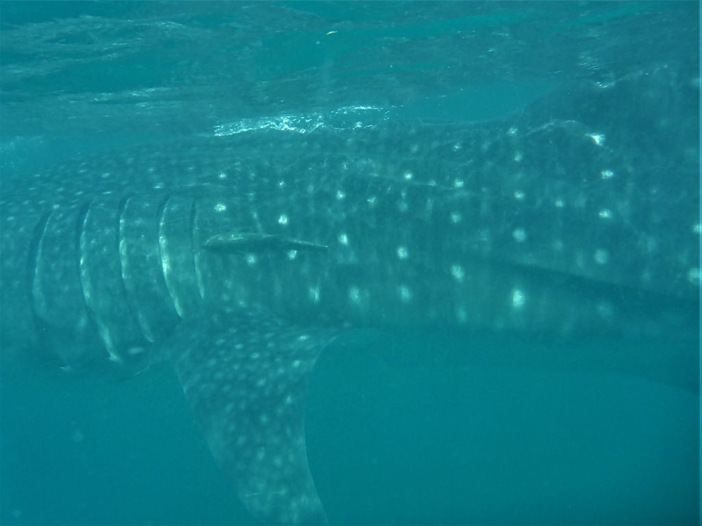 465d53b2-639b-4ffc-81db-580d6e8caee0