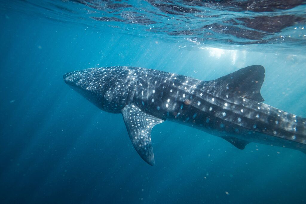 79c15306-ec71-49bd-88cb-d09dbecd9e9e