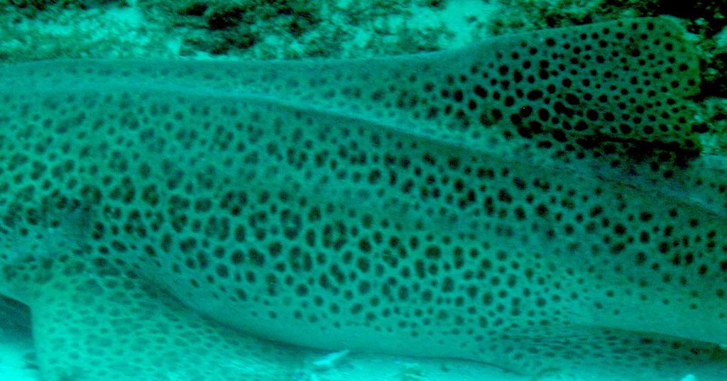 3f4db087-ee1d-4ea4-8ca3-9aebcc84ec66