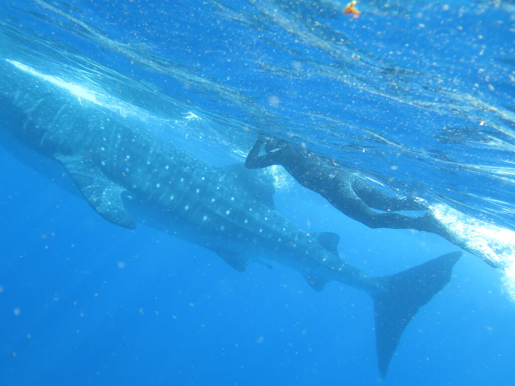 2da96c01-d7ca-4a82-bf90-d35980552f26