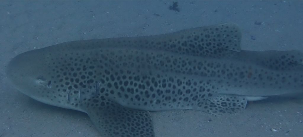 c84538ee-7b6e-4bed-b035-614e0e60b406