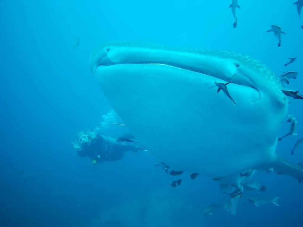 01ad3b93-24e5-4d28-83e3-85f7f2482f0a