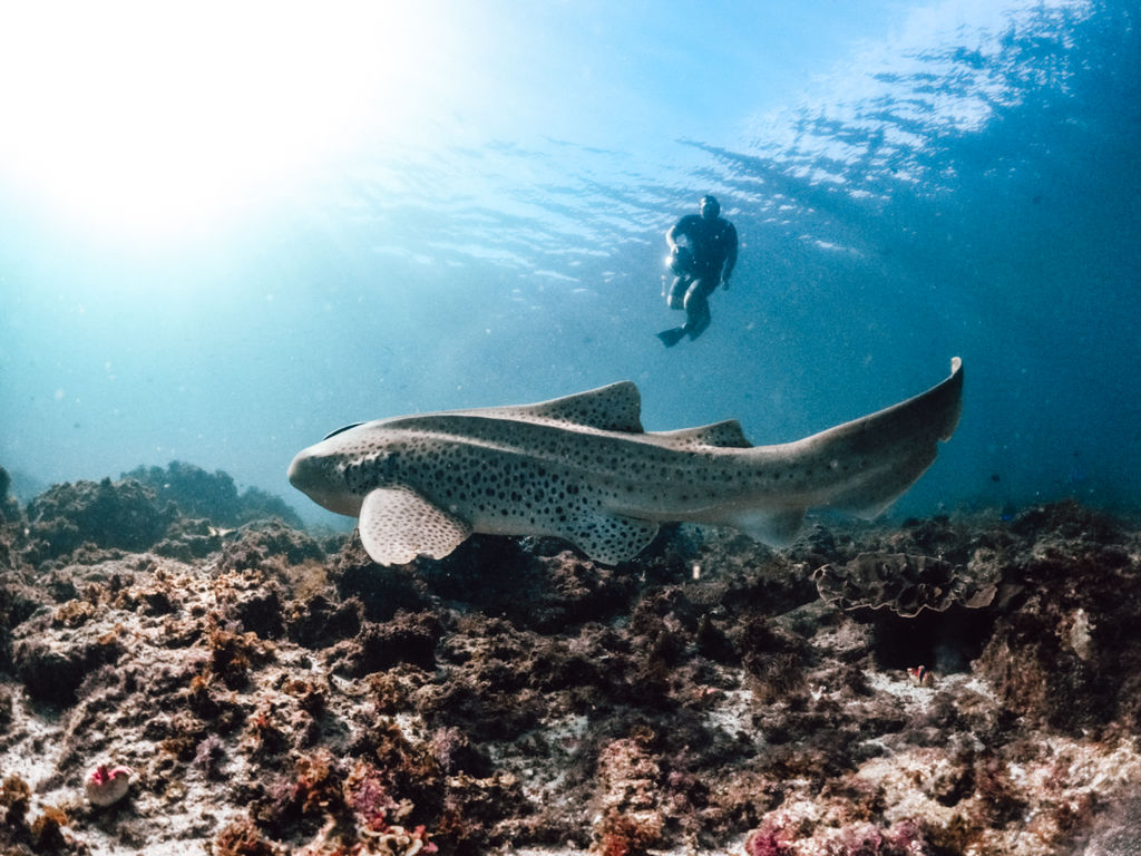 60541f60-c045-4cfa-96cd-18b600fb25f9