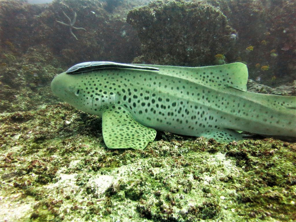 aaa8023f-c2b1-469a-a45b-2e9b7a399643