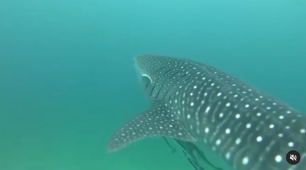 7a79daa2-a7b0-4c09-ade2-faab01841c97