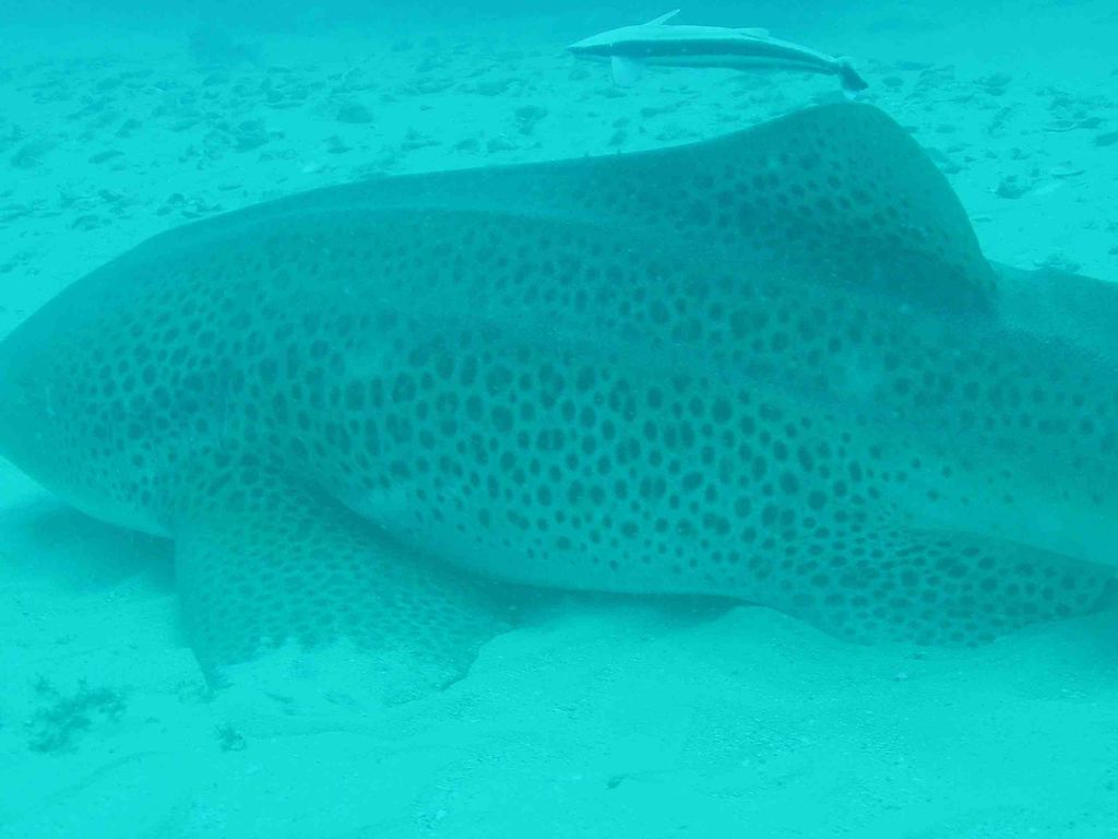 5756ae0d-e7fa-4efc-81a9-f6e62153d670