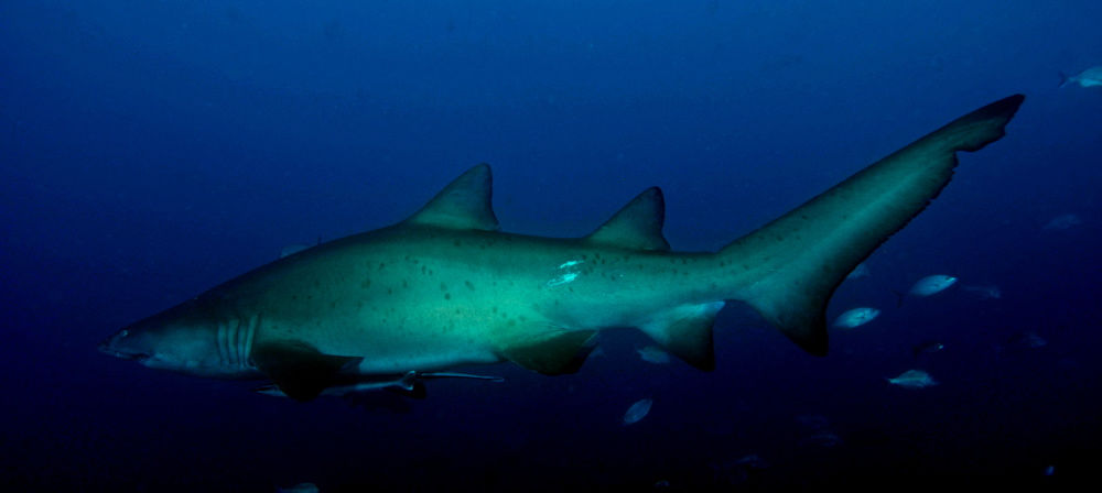 3cac8d67-0f5a-4bf6-878d-367714523886