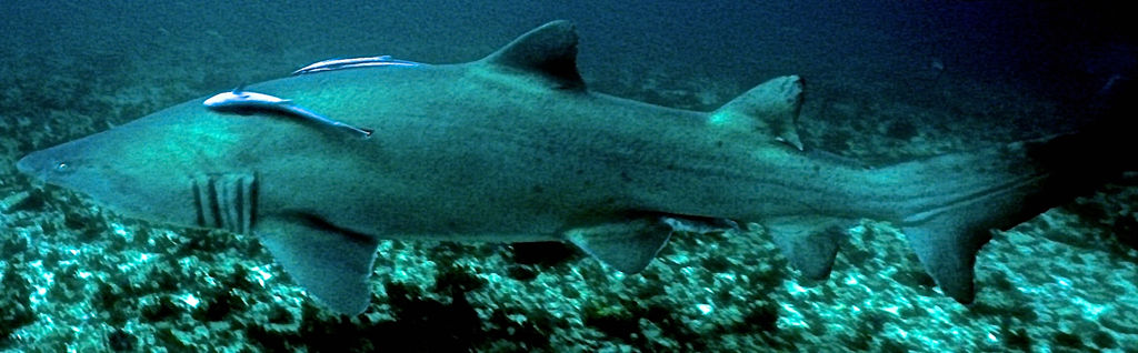 3c05d32f-d3e5-4a83-bf92-7159686c5e2f