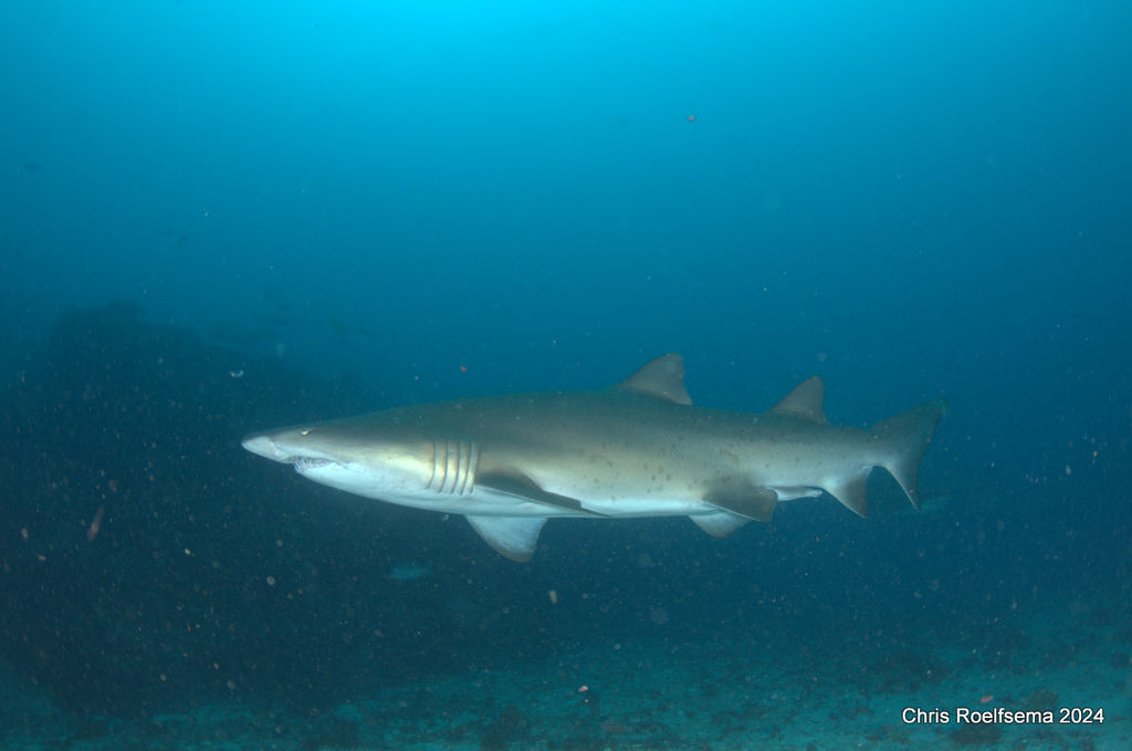 90536d56-d1dc-4fa5-8225-2290eee09428