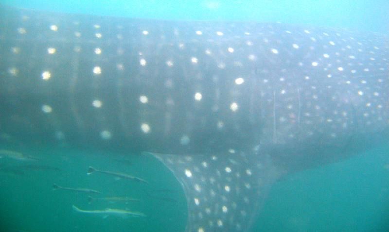 f6d48b70-19a7-4d66-a680-2e1e053a3d5b