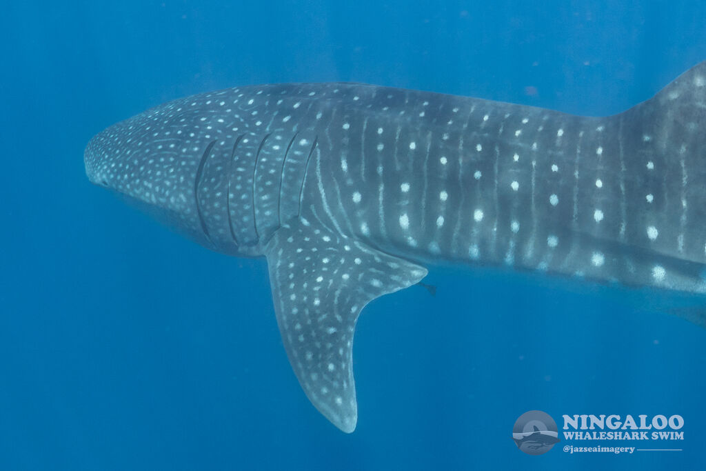 aac5d2b1-69b3-4141-b512-e91b5ce613f0