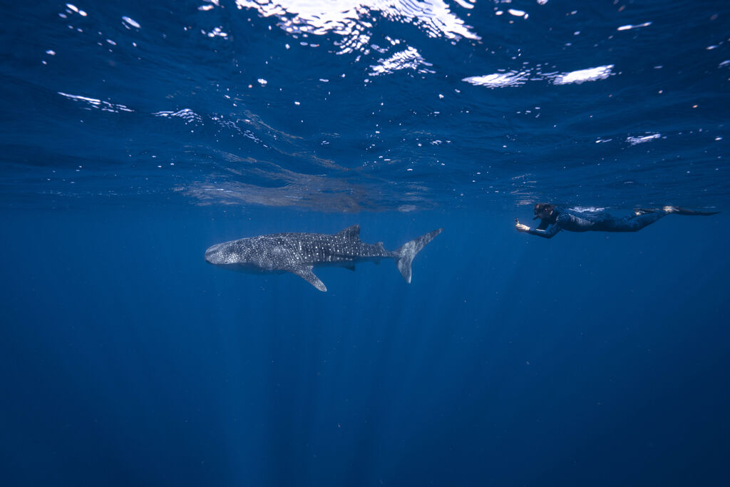 37001304-fee7-484b-a926-634e1df00f4a