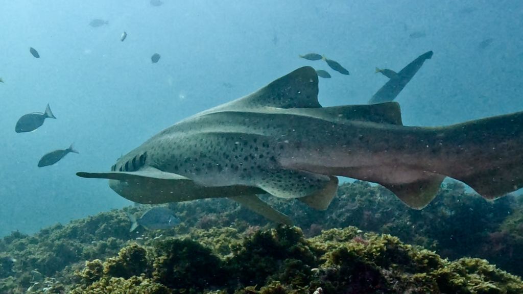 592cf5c3-5821-4892-b3c9-b88fc3649973