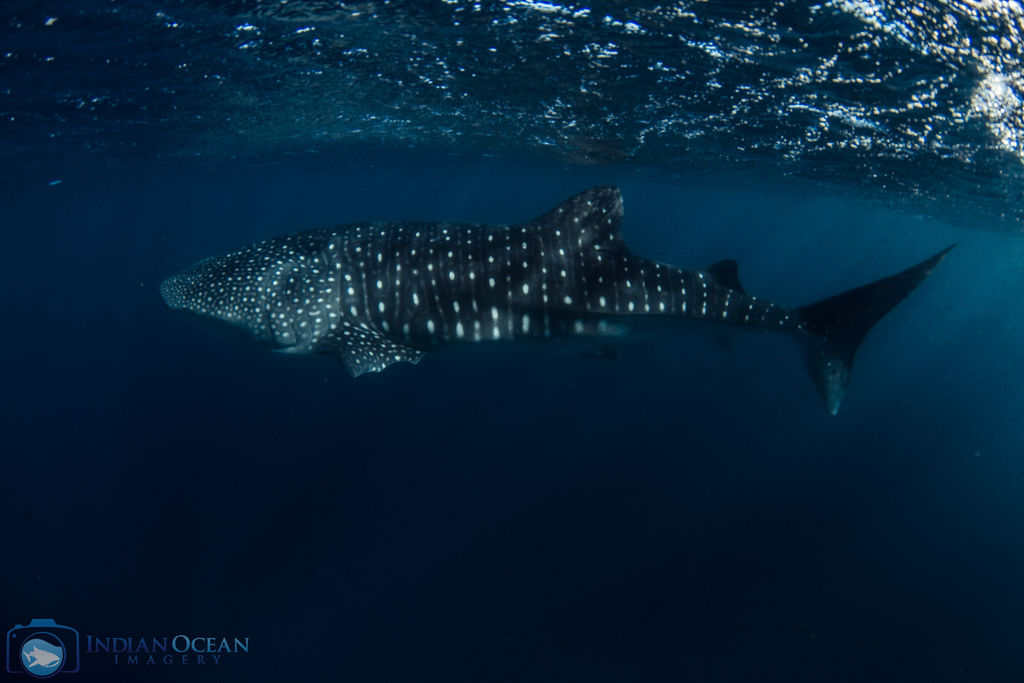 47dfabab-2c8a-41ee-8080-e0ae12c18be8