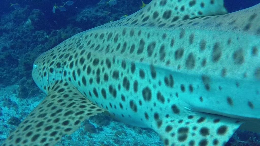 23db88a1-13d5-4fbf-ae7e-849ffbb92b82