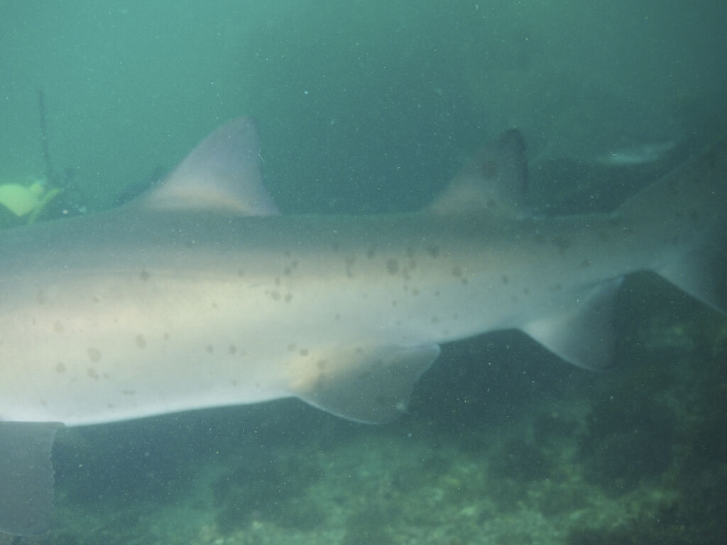 dfdea59c-4541-4944-8893-2e7192af4c42