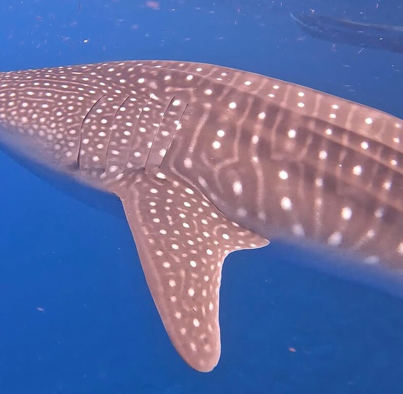 73108e94-df91-487f-b0d6-214b4fd987ae