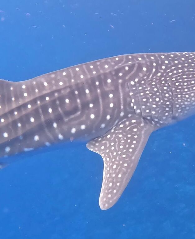 73108e94-df91-487f-b0d6-214b4fd987ae