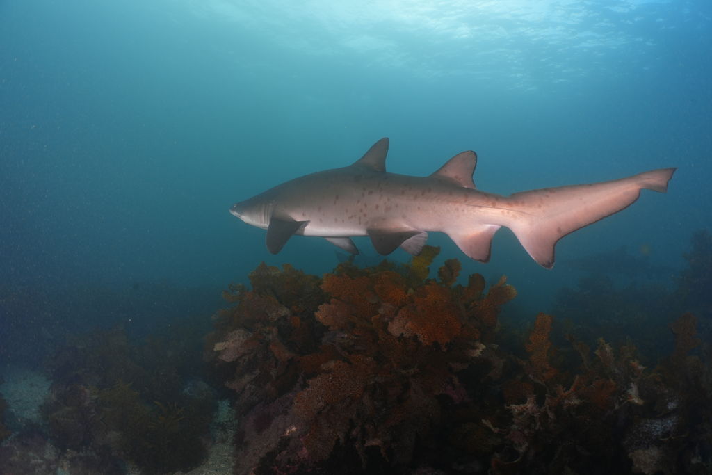 dfa11ef4-f474-47e1-aea0-f9e89e58059c