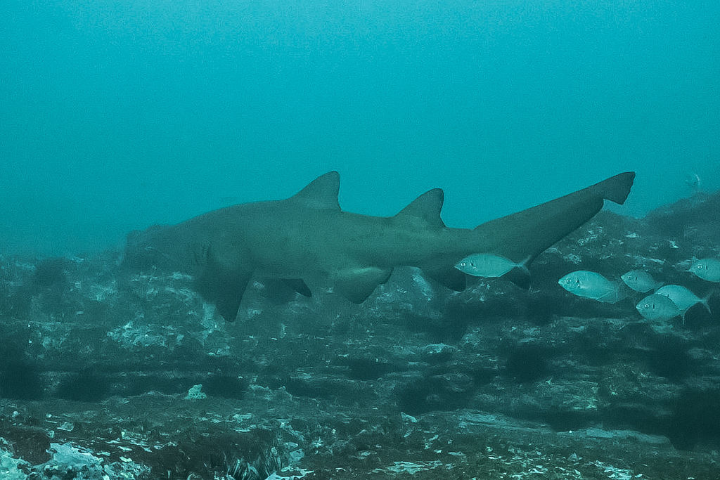 d74bd794-f6e3-44a5-a64b-c00f205ae668