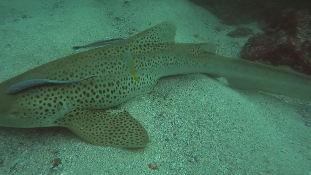 d6448b2d-5490-40c0-aa3f-35d8b6ecc49b