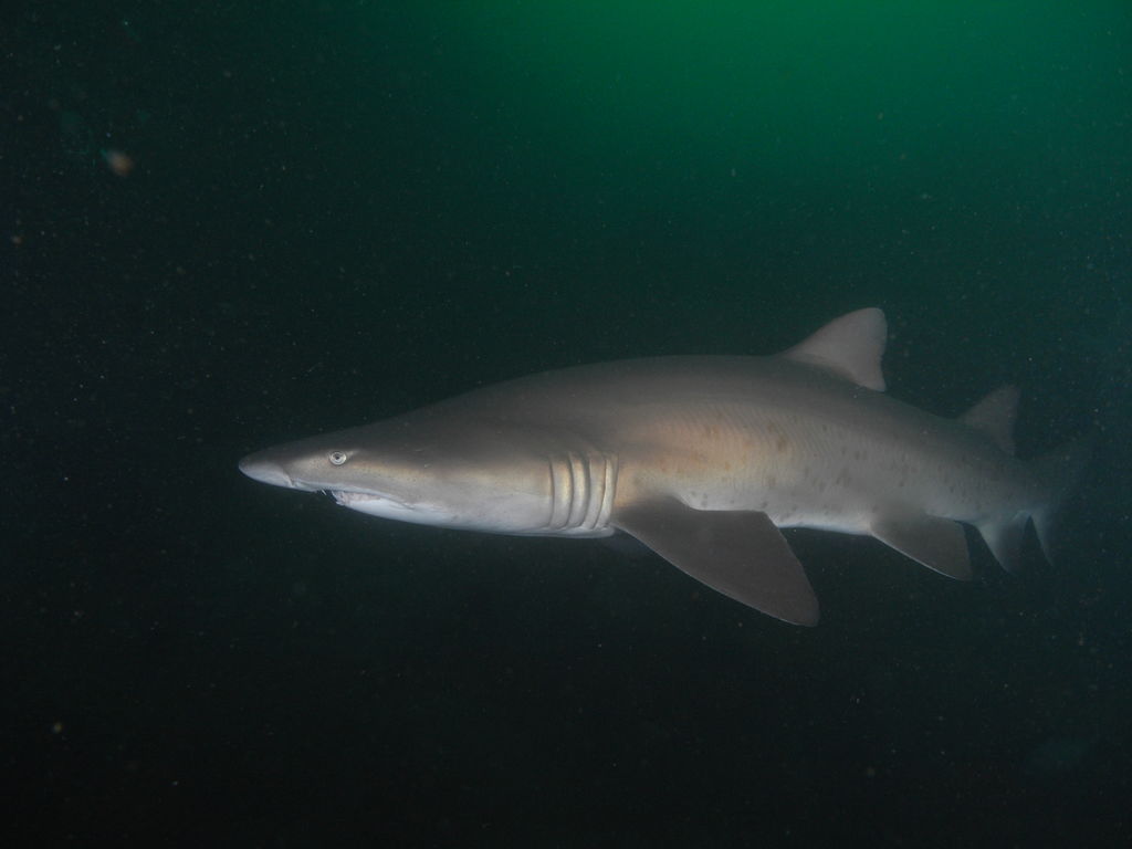 1861be47-6eac-47f1-8a94-03d6eccc4103