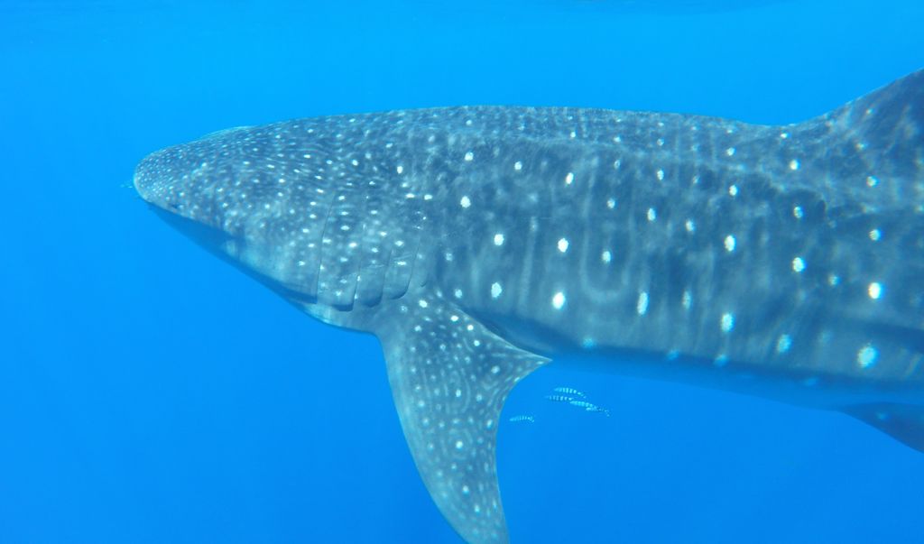 3cda9073-4e8e-4c8d-a087-f0bea737f31a