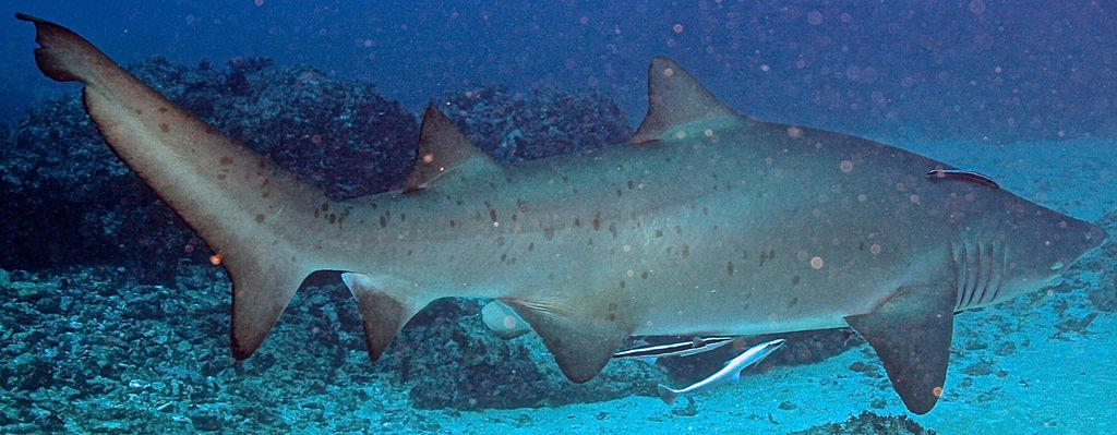 405e9aac-f1bf-46f5-884f-56ce1d30682a