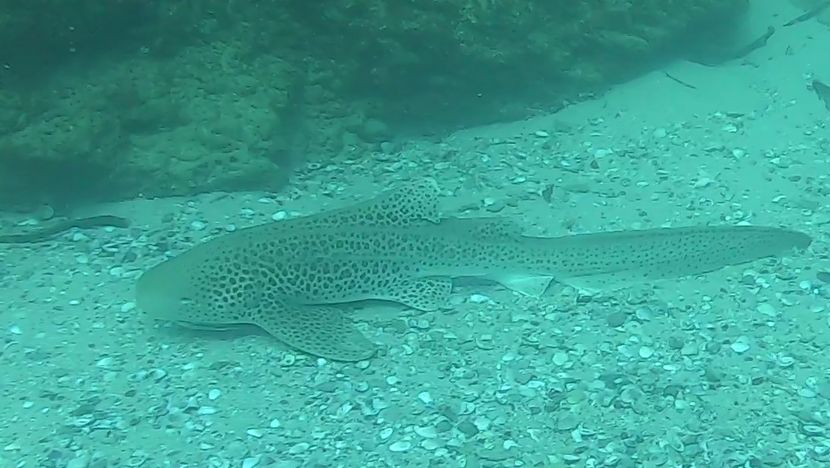 a8fbd478-8d07-47a3-9147-3ea985fbd342