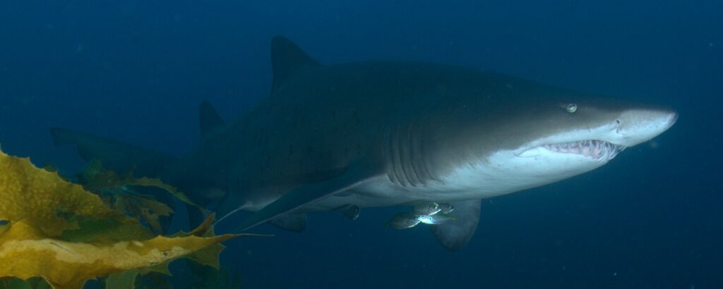 c30cf27d-2321-49ef-9adc-effff7afdc6c