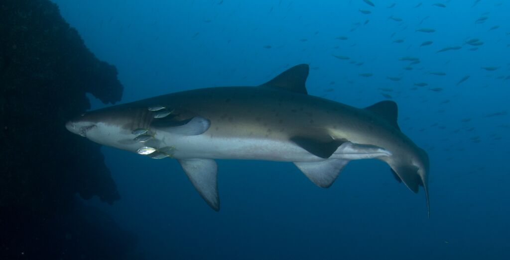 c30cf27d-2321-49ef-9adc-effff7afdc6c