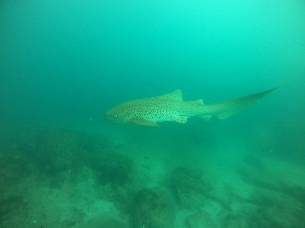 857bd346-5894-4420-b6de-5a64a11a324b