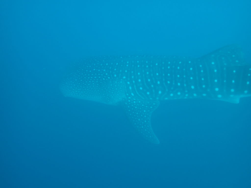 9fce0c6c-b702-44ea-8fdb-a69a71e149fb