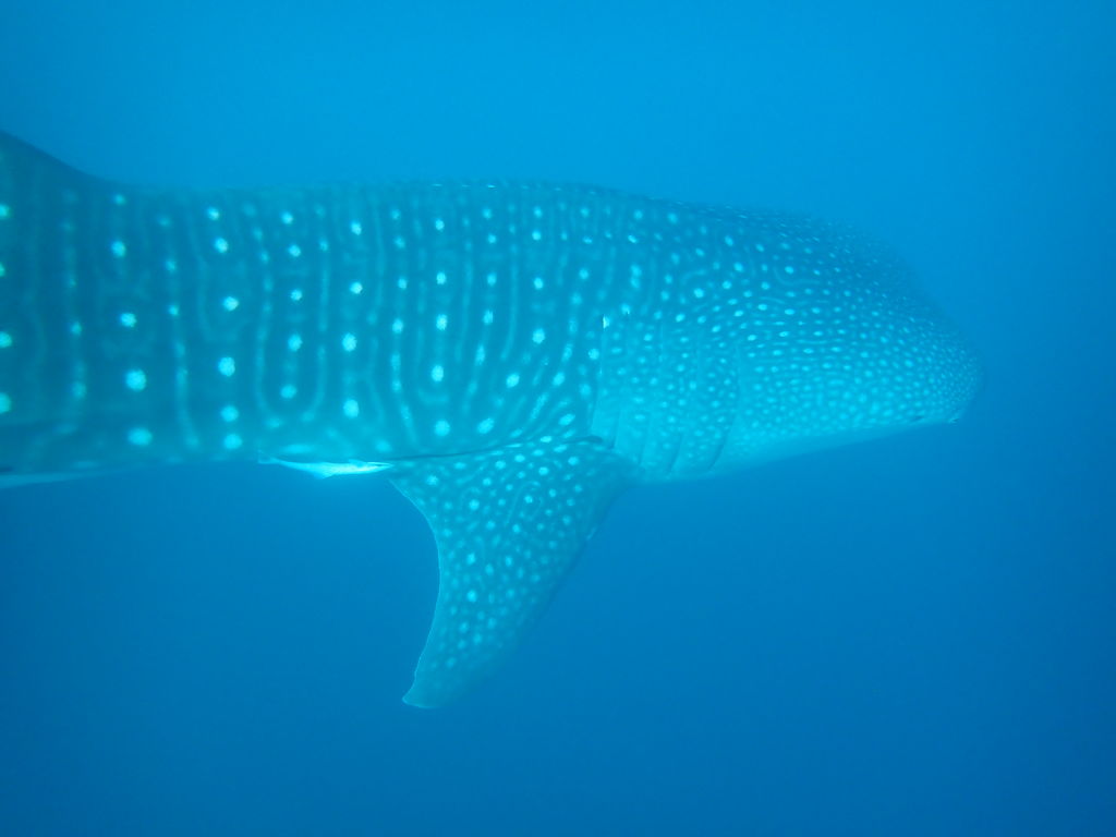 9fce0c6c-b702-44ea-8fdb-a69a71e149fb