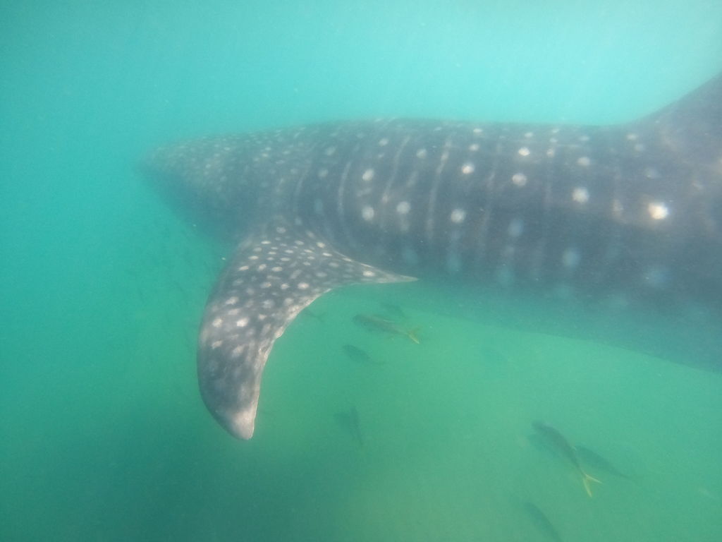 0562c90f-bfbe-4dab-97d0-4b0afc4243b7